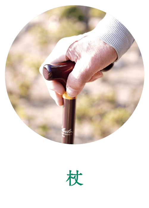 杖